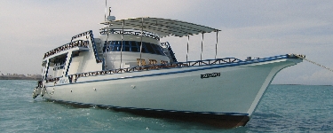 Diving Cruise (ダイビングクルーズ) + Kurumba Maldives (クルンバ・モルディブ)