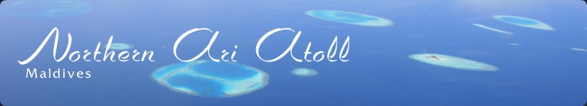 Northern Ari Atoll in Maldives 「モルディブ　アリ環礁 北部」