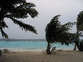 Beach / Kurumba Maldives （ビーチ）