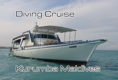 Diving Cruise / Kurumba Maldives