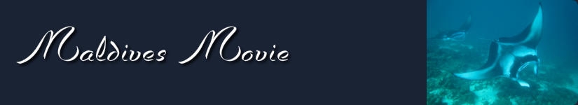 Moldives Movie 「モルディブ 動画」